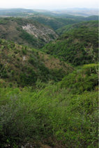 Terrenos del sureste de Haití donde está previsto crear una Reserva de la Biosfera.